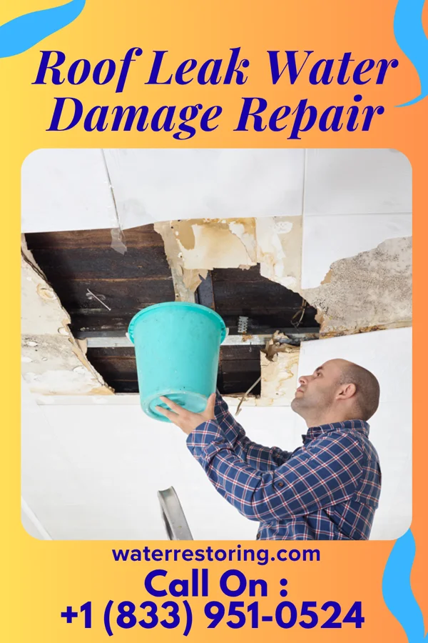 Roof Leak Water Damage Repair in Lake Catherine, IL